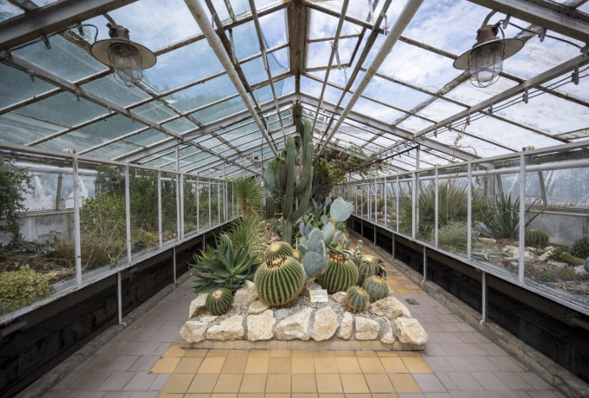 Botanical Garden UPJŠ, Slovakia